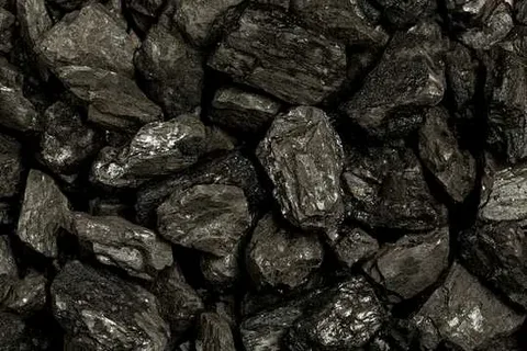 تصویر 1 از ذغال کبابی بسته بندی تهیه شده از چوب طبیعی و مرغوب